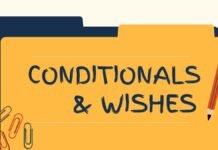 Conditionals and Wishes