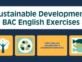 Sustainable Development BAC English Exercises